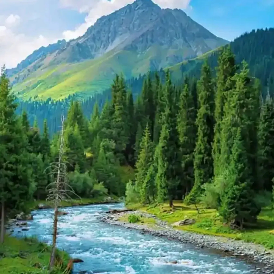 费迪南德回应罗伊·基恩批评：曼联球星遭不公平对待引足坛热议